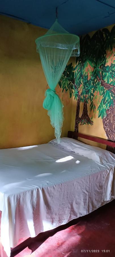Hostel La Gloria Ometepe Екстериор снимка