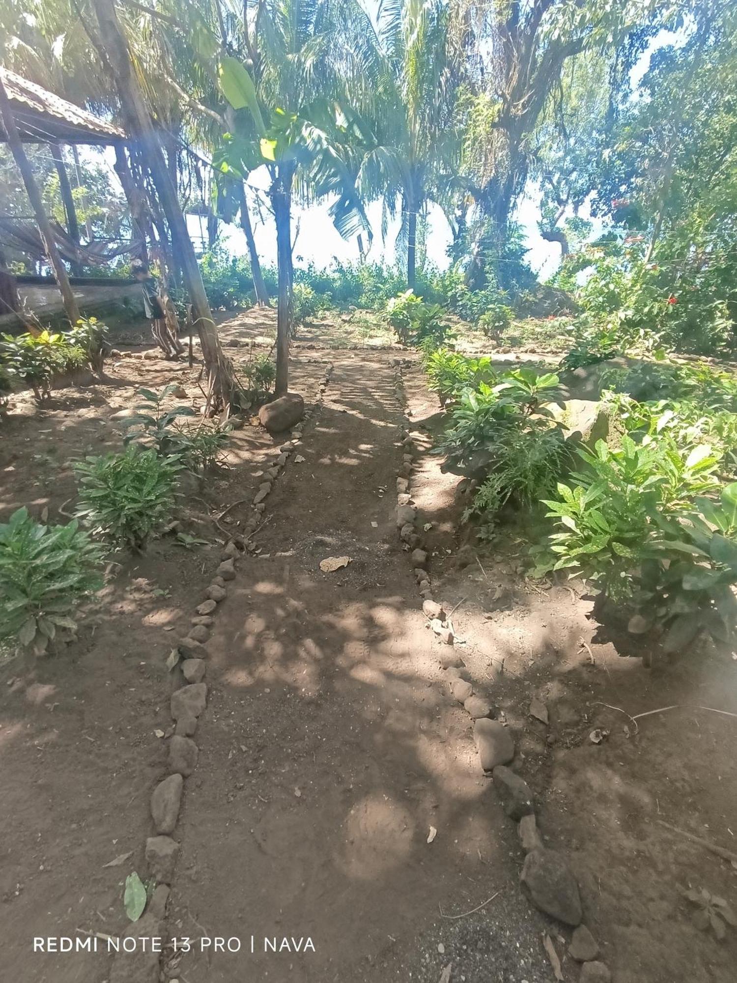 Hostel La Gloria Ometepe Екстериор снимка